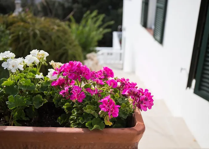 Διαμέρισμα Gama Cala Galdana (Menorca)