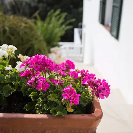 Apartment Gama Cala Galdana (Menorca)